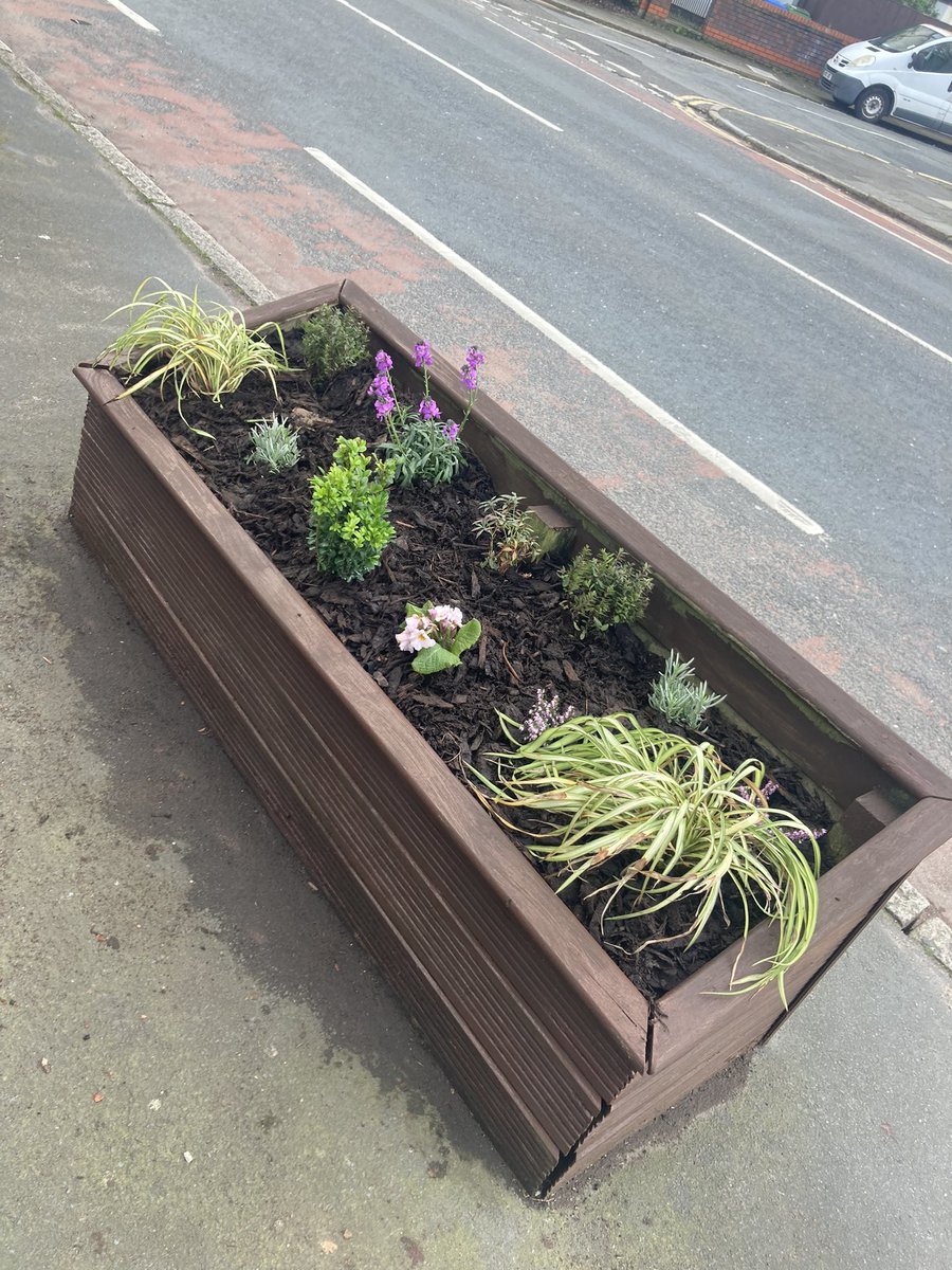 A big shout out to our Mosspits parents (and children) who spent their Sunday afternoon transforming the school planters outside the main gate. As you can see from the before pictures they were in some serious need of TLC but now look amazing 😍….. what do you all think?