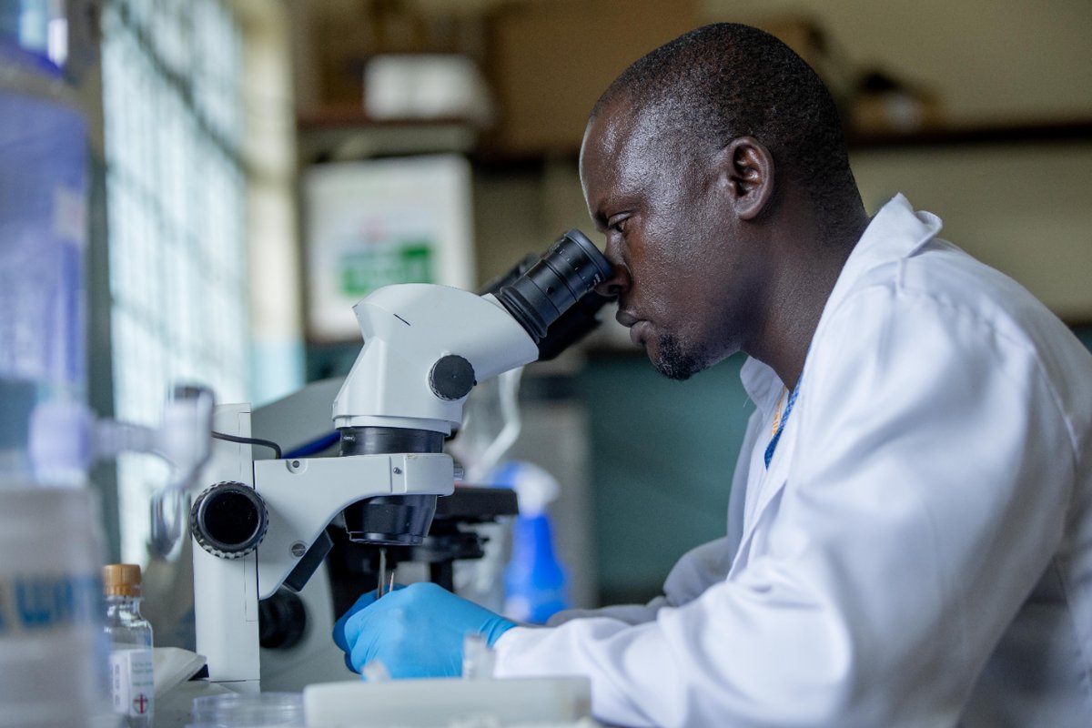 🦟💊Did you know that scientists in the #BOHEMIAproject are testing ivermectin as a potential vector control tool to reduce #malaria?

👉🏿To learn how the idea became a strategy, read the roadmap for adding ivermectin to the malaria control toolbox.

🔗ow.ly/wcRG50QRsgb