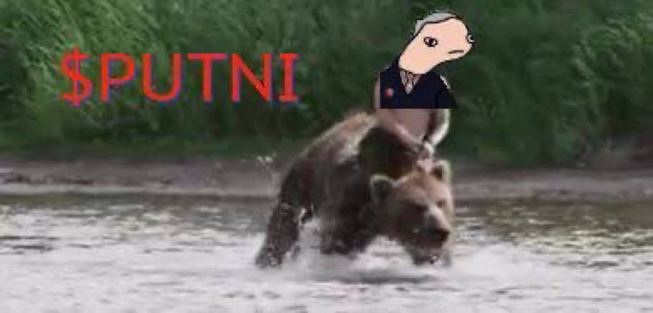 SoleBlaze19's tweet image. @PutniSOL is about to be 430% in 9 minutes, ATH is 14 mil, the community is powerful & just grouped enough funds to grab us trending & maybe a caller. 🚀
$PUTIN $PUTNI #PUTIN