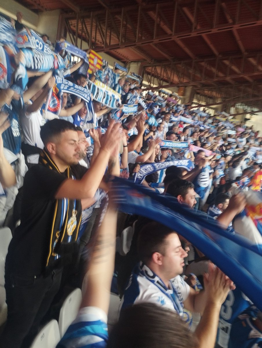 Don PERICO DE LA MANCHA tweet media