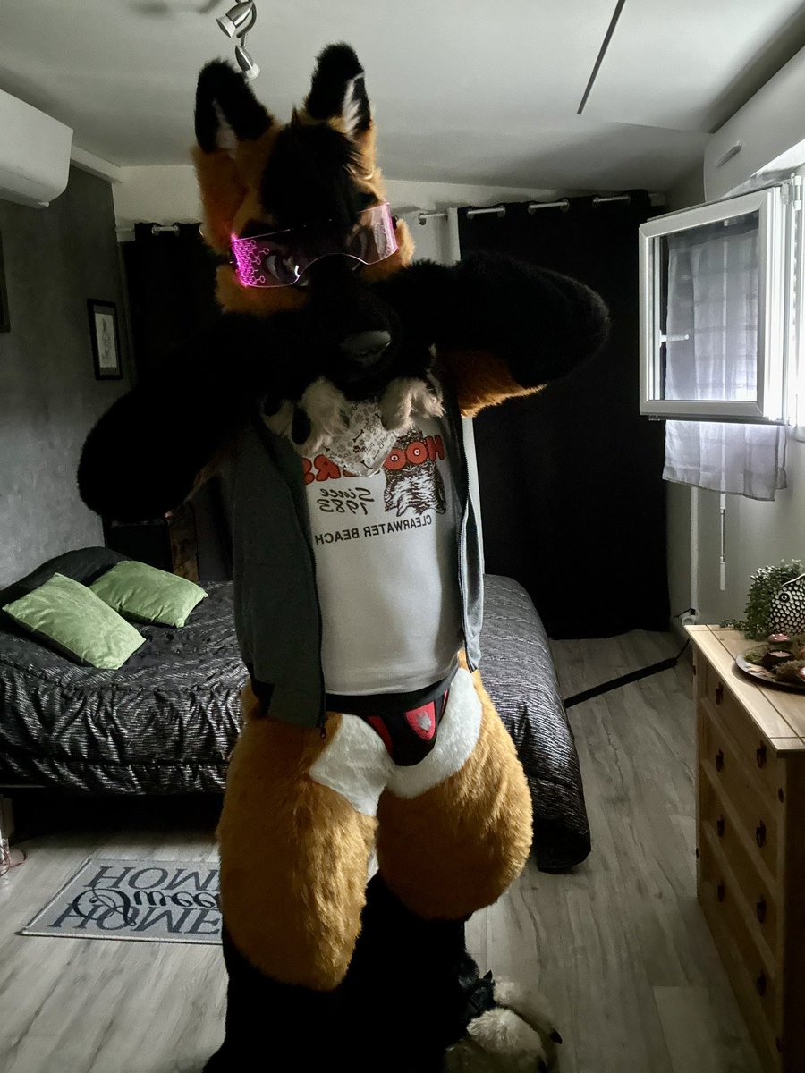 Wanna hangout with me?! #FursuitEveryday @MadeFurYou