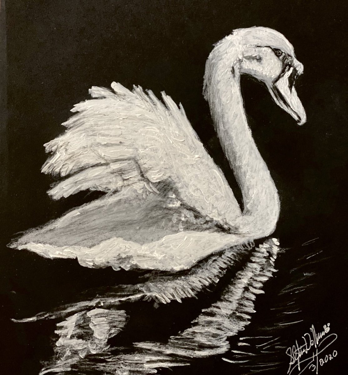 Swan created on black 9x12 acid free 80lb Strathmore paper and placed in Gallery 12 of my website at artistrybysteve.com. #ArtInspiration #CreativeDesigns #Swan #ArtistsonTikTok #ArtistsonFacebook #ArtistsofInstagram #RISD #Disney2025 #MKBHD #Garfieldmovie