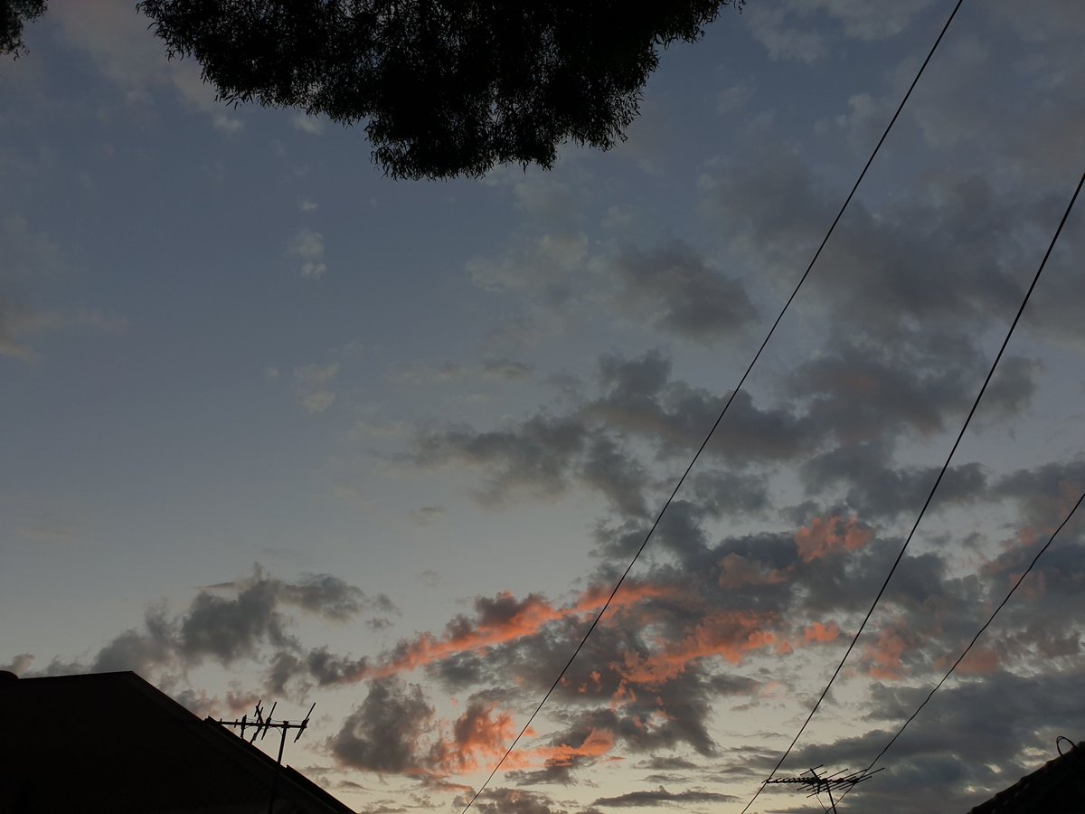 Good morning #Monday
Another working $week begins
Another pretty dawn
Cloudscape
High School student in uniform walking to the bus stop
Early
#Walking on the road
Birds waking
Magpies carolling
Good
#Wordle1003 5/6
⬜⬜⬜⬜🟦🐈‍⬛
🟦⬜⬜⬜⬜🤞
⬜🟦⬜🟦🟦🙂
🟧🟦🟧⬜🟦🤭
🟧🟧🟧🟧🟧💃