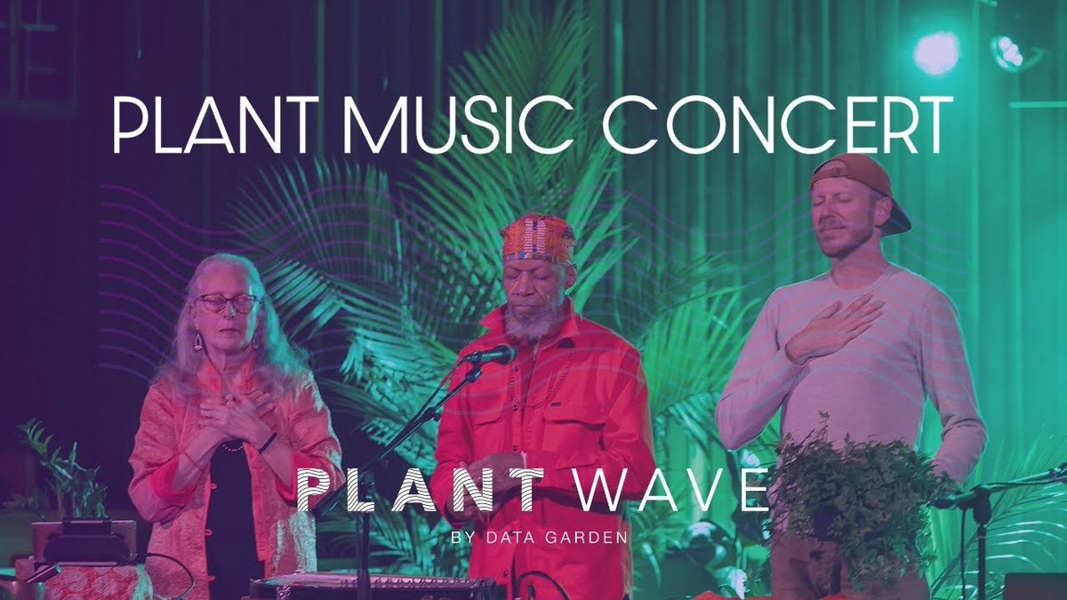 Someone sent me this this morning it’s one of those #loveatfirstlisten sounds ; so incredibly healing to listen to  #plantwave #oscillations #themusicoftheplants
#naturesounds #synthesisers #music #healingsounds  
buff.ly/3PoXbIs