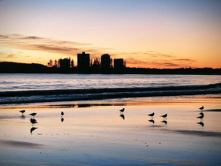 Good morning everyone.
Mooloolaba, Sunshine Coast Australia.
#photography #landscapephotography #landscape #nature #lindquistphotography #sunshinecoast #mooloolaba #sunrise #australia #abcmyphoto