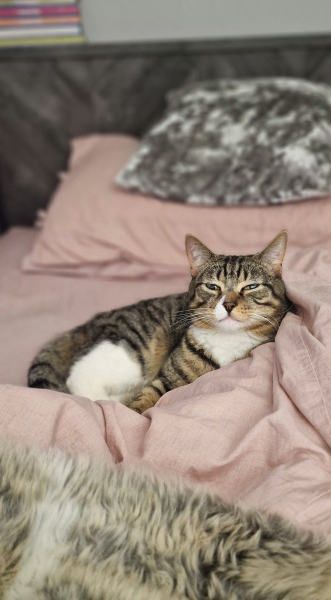 ᭙ꪖꪗ᭙ꪖ᥅ᦔ ᦓꫀᦓꪻ᥅ꪖ💙‍☸️‍💚🇬🇧🏴󠁧󠁢󠁥󠁮󠁧󠁿 tweet media