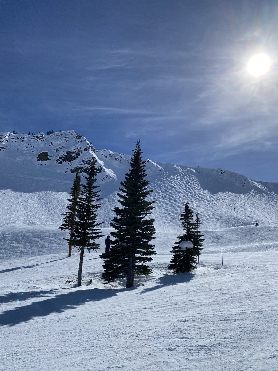 Teachers can also get off the tube and get on the move!! I chose mountain time instead of screen time this weekend! 🏂 What physical activity did you decide to do in this beautiful weather? Challenge accepted @DHScariolato! <a href="/APPLESchools/">APPLE Schools</a>