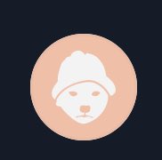 Wow 🤩!! $5 $10 !! ⬆️ 🆙 Buy buy buy #dogwifhat