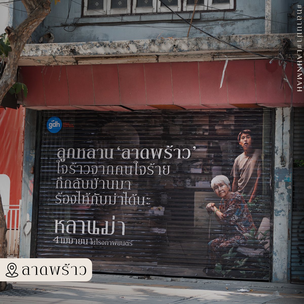 GDH tweet media