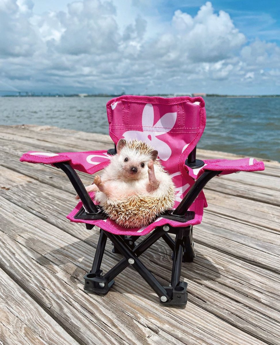 Sunday 17th March, 2024