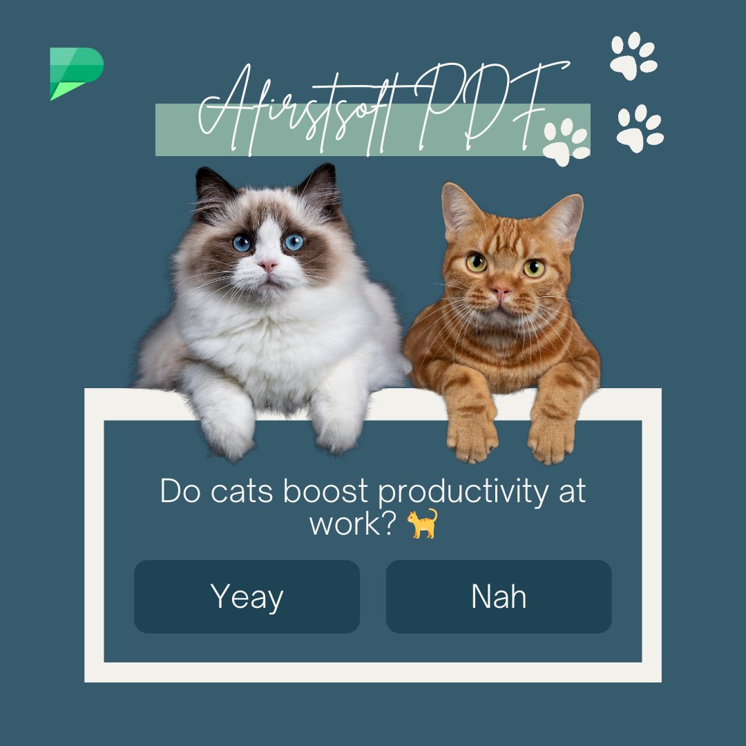 Do you have a cat in your workspace?🐈 Do you find that having cats around improves your mood and productivity while working?😊
#cat #workplace #animalcompanion 
#pdf #afirstsoft #catsoftheday