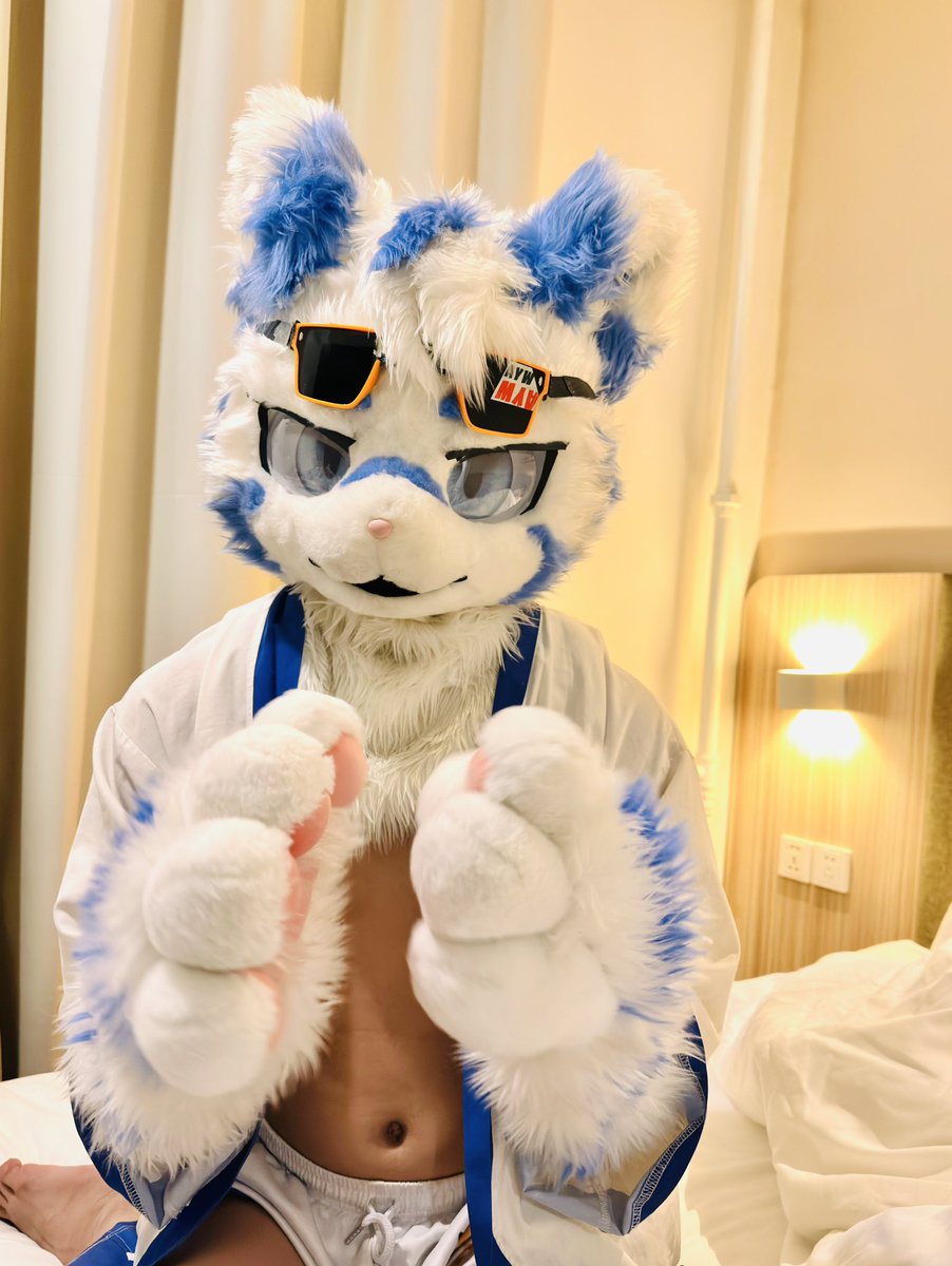 翼虎🐯大武 tweet media