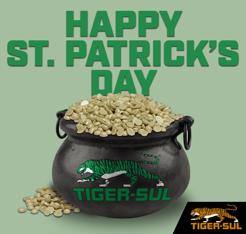 TigerSulProduct's tweet photo. May the road rise up to meet you.
May the wind always be at your back.
May the sun shine warm upon your face, 
And the rains fall soft on your fields.

Happy St. Patrick’s Day! https://t.co/YOhlf1Wg77