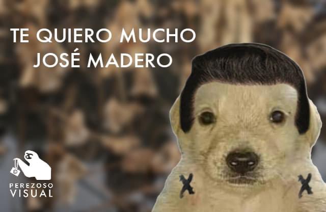 Jssa_Haehyuk's tweet photo. Weeey que hermoso fue ver a Jose Madero regresar al Vive Latino después tanto, gracias al público y a los fans por no dejar de cantar sus canciones, por tratarlo bonito 💛
@jose_madero serviste y deboraste mi rey, te lo mereces, te amo we 💛
#VL24 #VLINDIO24 https://t.co/sF7QxlmTqu