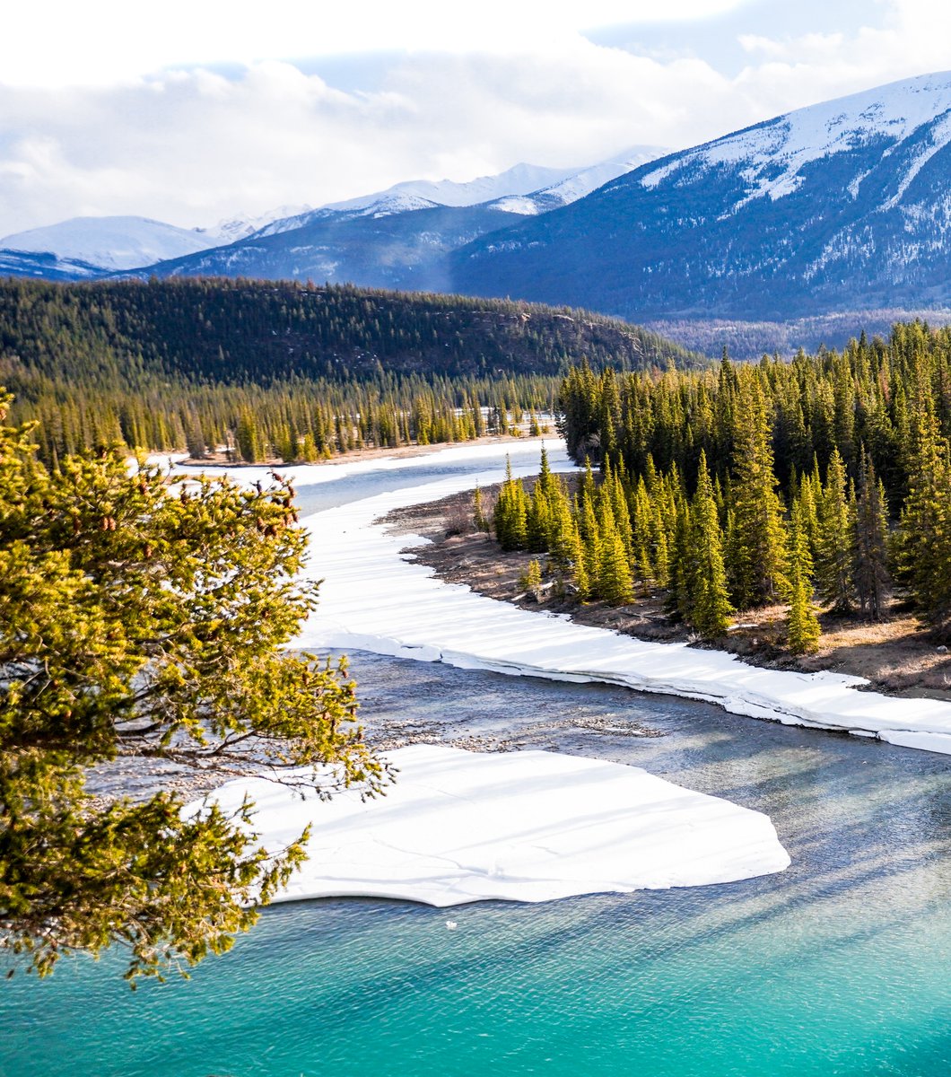 Pursuit Banff Jasper Collection tweet media