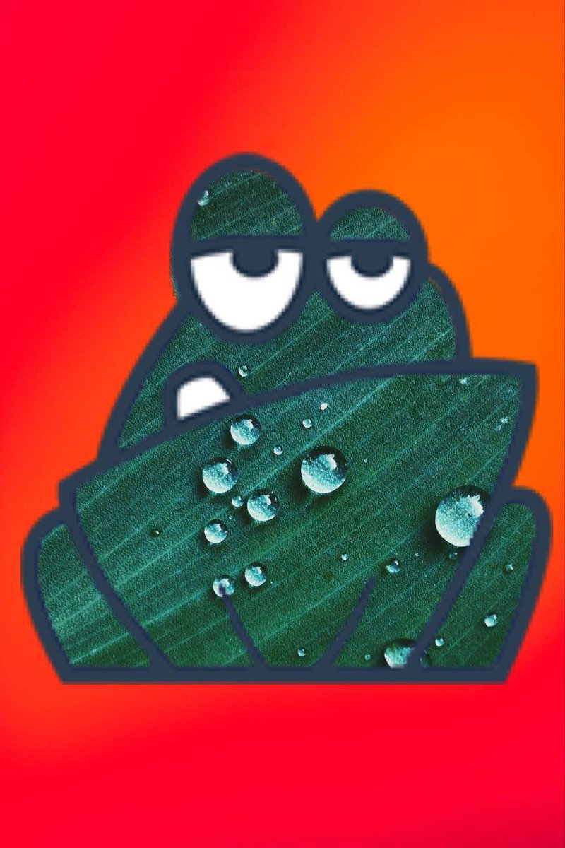 Froge ™ Finance Official tweet media