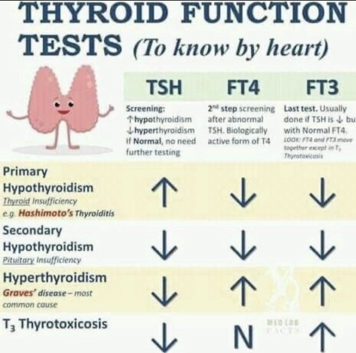 Thyroid Function Tests - Key to diagnosis 🔐 #FOAMed #FOAMcc #MedEd #medicaleducation #MedicalStudents #medicalpractice #emergency #medicine #endocrine #RESIDENT #livertwitter #TwitterRx #MedTwitter