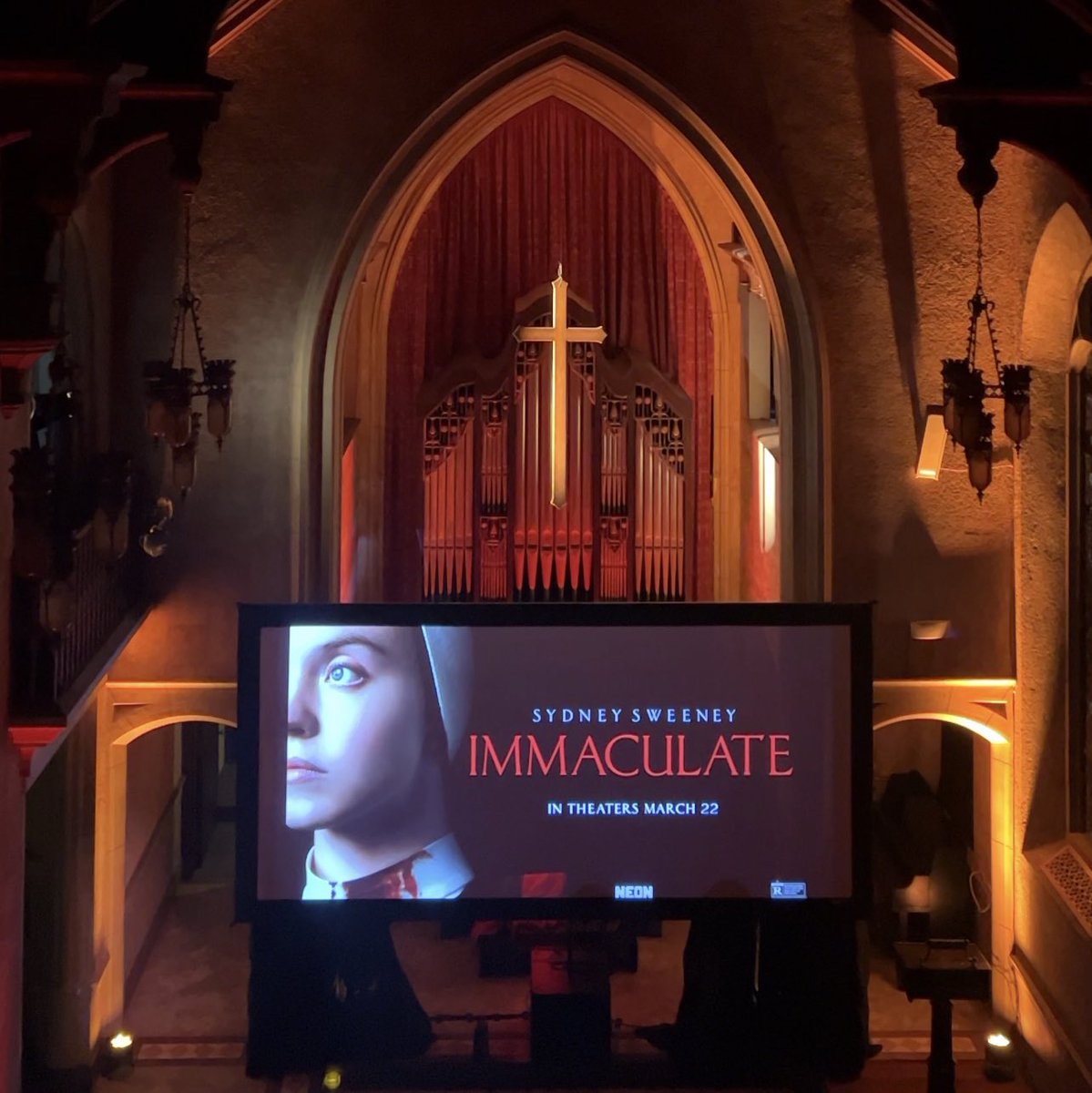 Immaculate tweet media