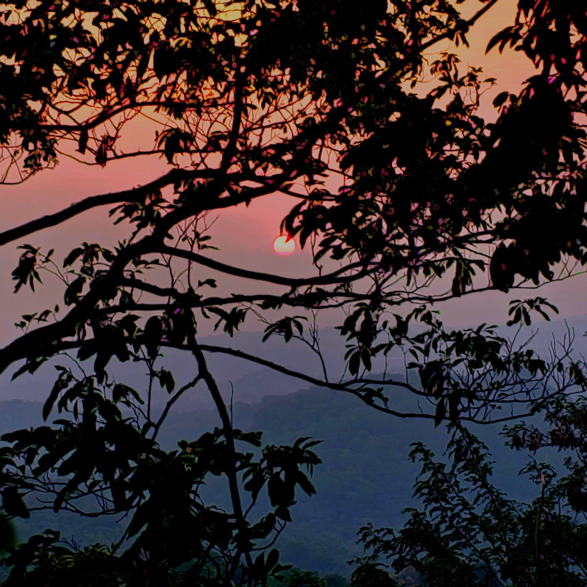 Sky on fire.