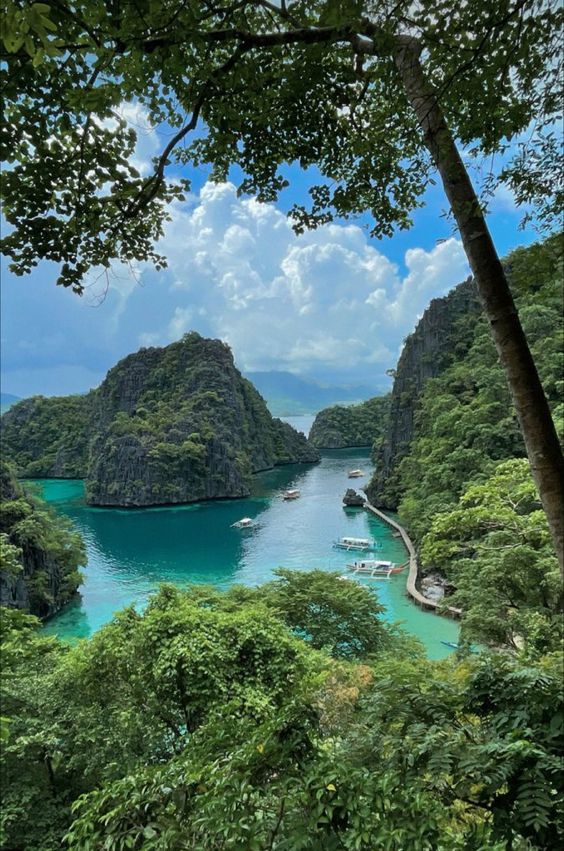 jeejeeja's tweet image. Today, I find myself contemplating the power of forgiveness. In a world that''s often marked by hurt and betrayal, it can be difficult to let go of past grievances and embrace a spirit of reconciliation. And yet, amidst the pain and sorrow, there lies a profound sense of…