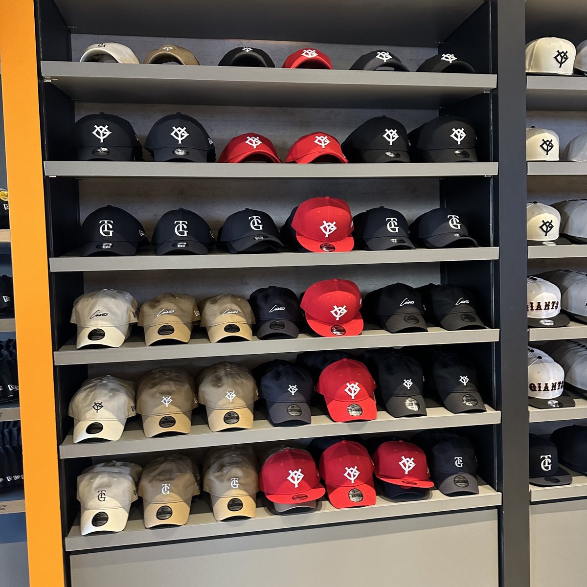 ┈┈┈┈┈┈┈** 1st ANNIVERSARY🎉 ** ┈┈┈┈┈┈┈** 「GIANTS