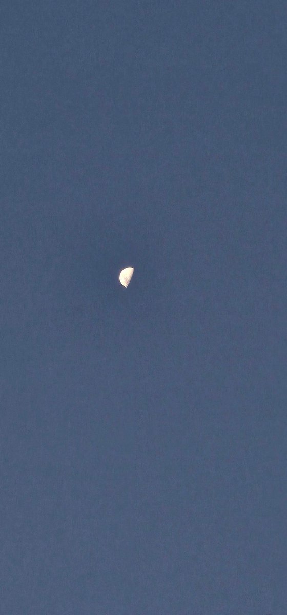 Here comes the🌙!