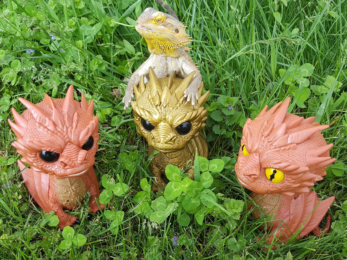 coagie's tweet photo. On the hunt for some tasty luck. Happy St. Patrick's Day! @funko #funkophotoadaychallenge #springintofunko #stpatricksday #happystpatricksday #funko #funkopop #lotr #thehobbit #smaug https://t.co/E67NIo5e9m