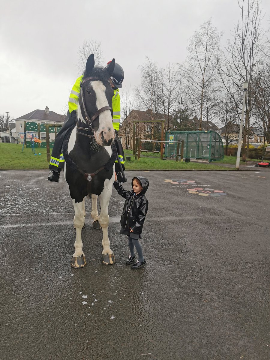 Our P1 pupils loved their visit from @PSOSHorses on Friday. Police Officers Vicky and Gavin, visited with Dice & Harris & told them all about their jobs. They got to do a little bit of training with the horses and gave give them a pat too! Thank you for coming to visit us!