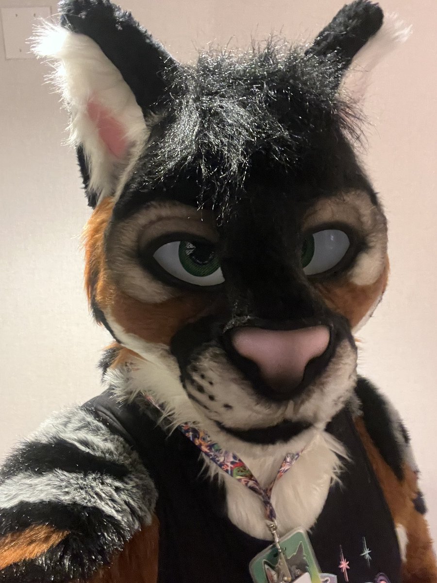 AlPhoxTiger 🔜TFF tweet media