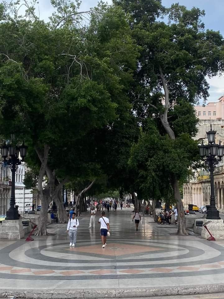 Gobierno La Habana tweet media