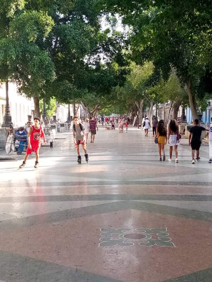 Gobierno La Habana tweet media