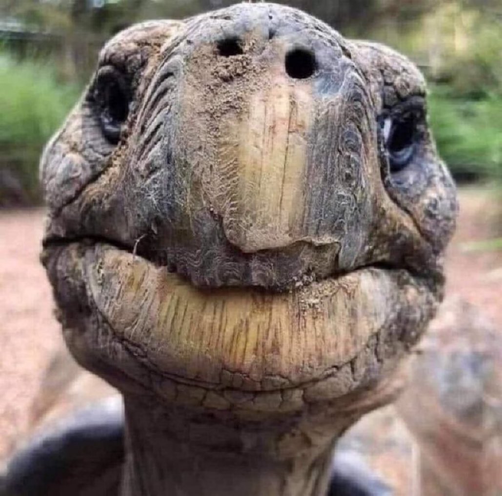 His name is Jonathan and in this picture he is 189 years old.