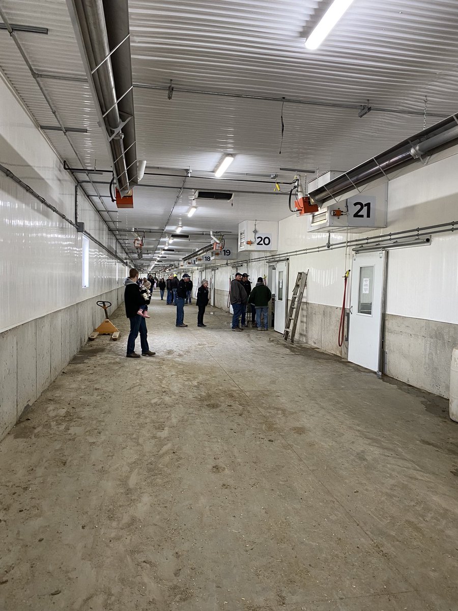 Caleigh Slits tweet media