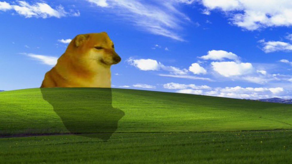 crypto messiah 🌞 tweet media