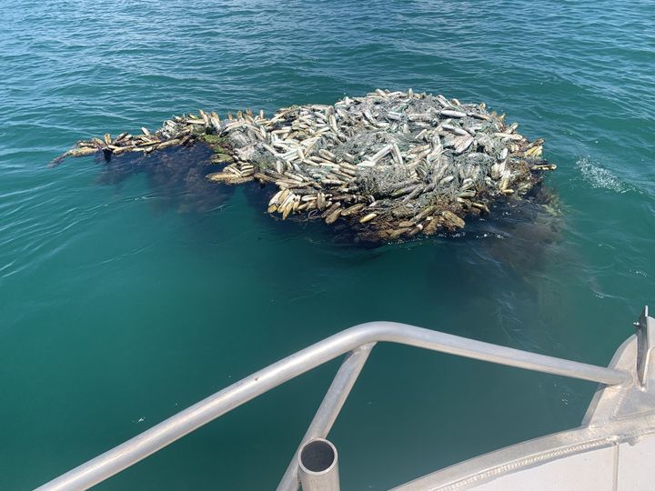 Another piece of ghost gear is tagged with a #ProjectReCon buoy!
Our partners at Ports North spotted this ghost gear drifting in Boyd Bay, Weipa. A  GPS buoy was attached and this 2m long, 1m wide, and 6m deep ghost gear is now under our watchful eye until it can be removed.
