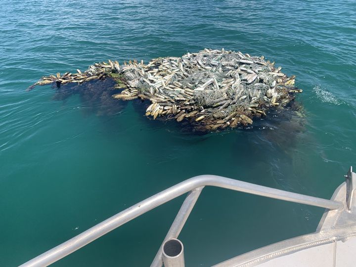 Another piece of ghost gear is tagged with a #ProjectReCon buoy! Our partners at Ports North spotted this ghost gear drifting in Boyd Bay, Weipa. A GPS buoy was attached and this 2m long, 1m wide, and 6m deep ghost gear is now under our watchful eye until it can be removed.