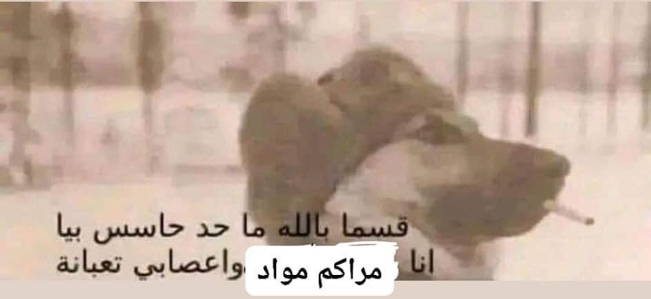jehan1311's tweet photo. أن تأتي مُتأخرًا خيرٌ من ألا تأتي عمومًا 😔
#30DaysOfRamadan https://t.co/87zaxikSpk