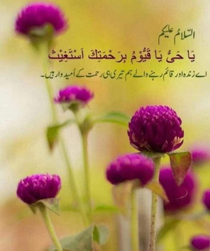 Rehan__Kamboh's tweet photo. Beshak 🌱🌹💐💞💖💓🌱🌻✨🍃 Allah rehem kerne wala hai
#islamic_post
#Good_Morning_X
Repost it 👈💐🌹🆗 https://t.co/w8YlwVX9ri