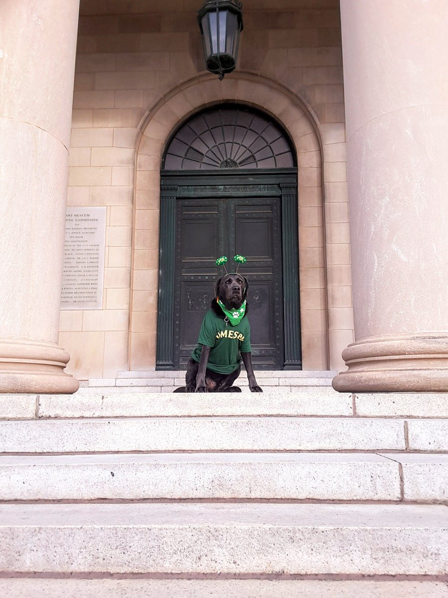 Happy Saint Patrick's Day ☘️🐕☘️
@GuinnessIreland @jamesonwhiskey #stpat