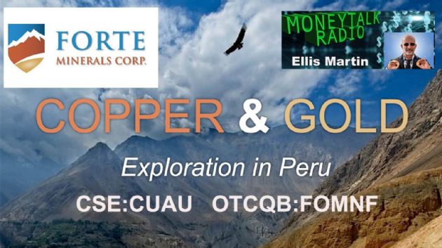 MONEYTALK RADIO WITH ELLIS MARTIN: Forte Minerals Corp. (CNSX:CUAU) Adds Gold Property in Peru $CUAU $2OA $FOMNF @Forte_Copper dlvr.it/T4Cr1p