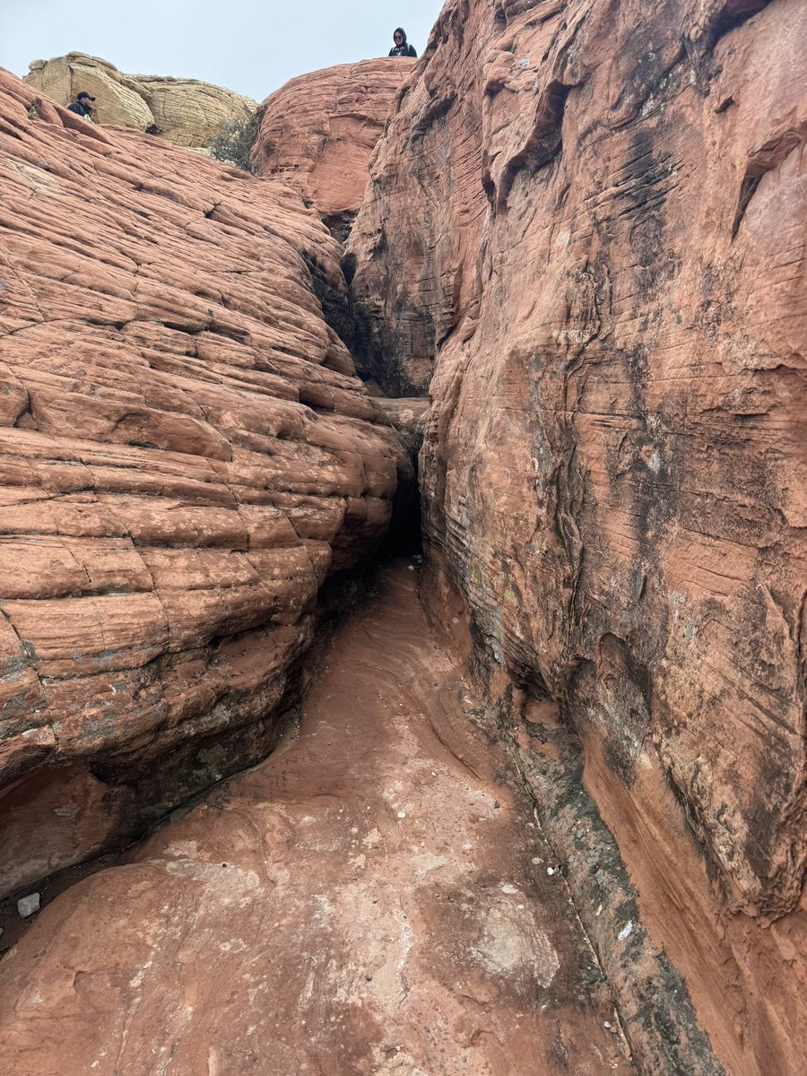 AV_JamesKing's tweet photo. We went to Red Rock and did the scenic drive. We got out at some of the pull of areas. These are some of my fav pictures I took today. #avtweeps #RedRockLV #RedRockCanyon #LV https://t.co/Vpck4Vg4pt