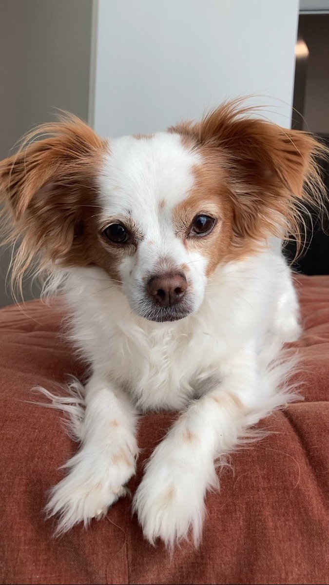 Hannah Riley Fernandez tweet media