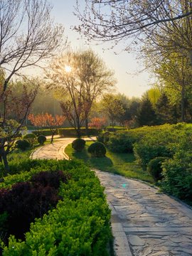 太陽の光で目覚める朝は素晴らしいものです☀