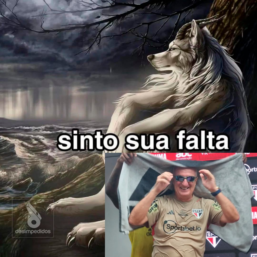 desimpedidos's tweet photo. eu sei que vc sente https://t.co/1b9e6UM7bi