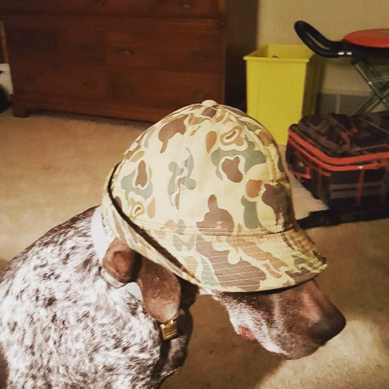 I still can't believe he kept his composure 😁