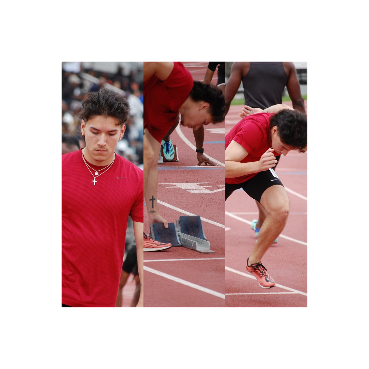 David Ortega 🌟 tweet media