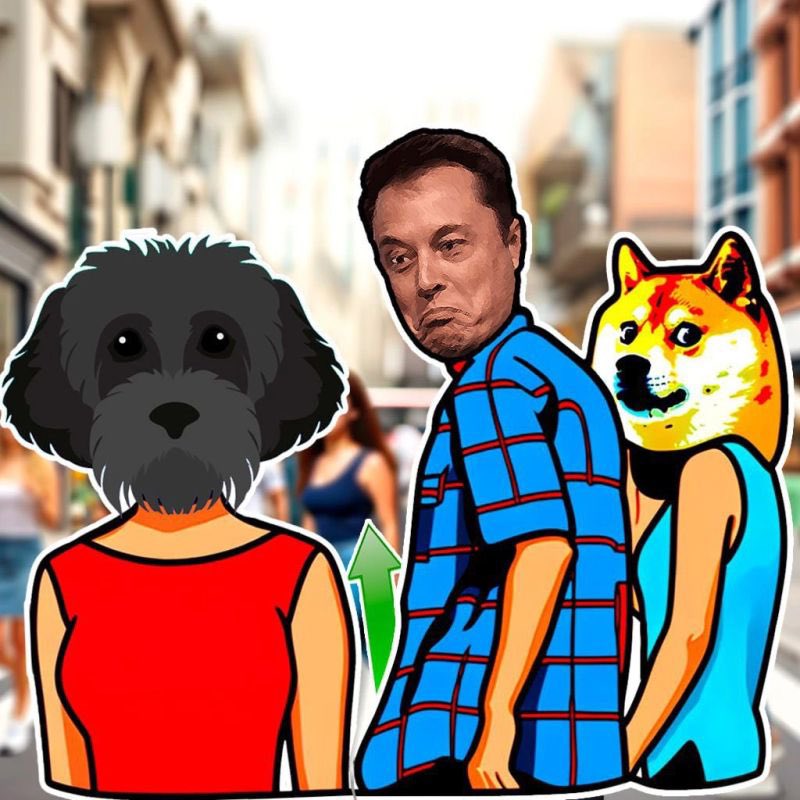 Fcalamia13's tweet photo. @cryptomanran $MYRO is the solana dog! https://t.co/XiyzWdkMlc