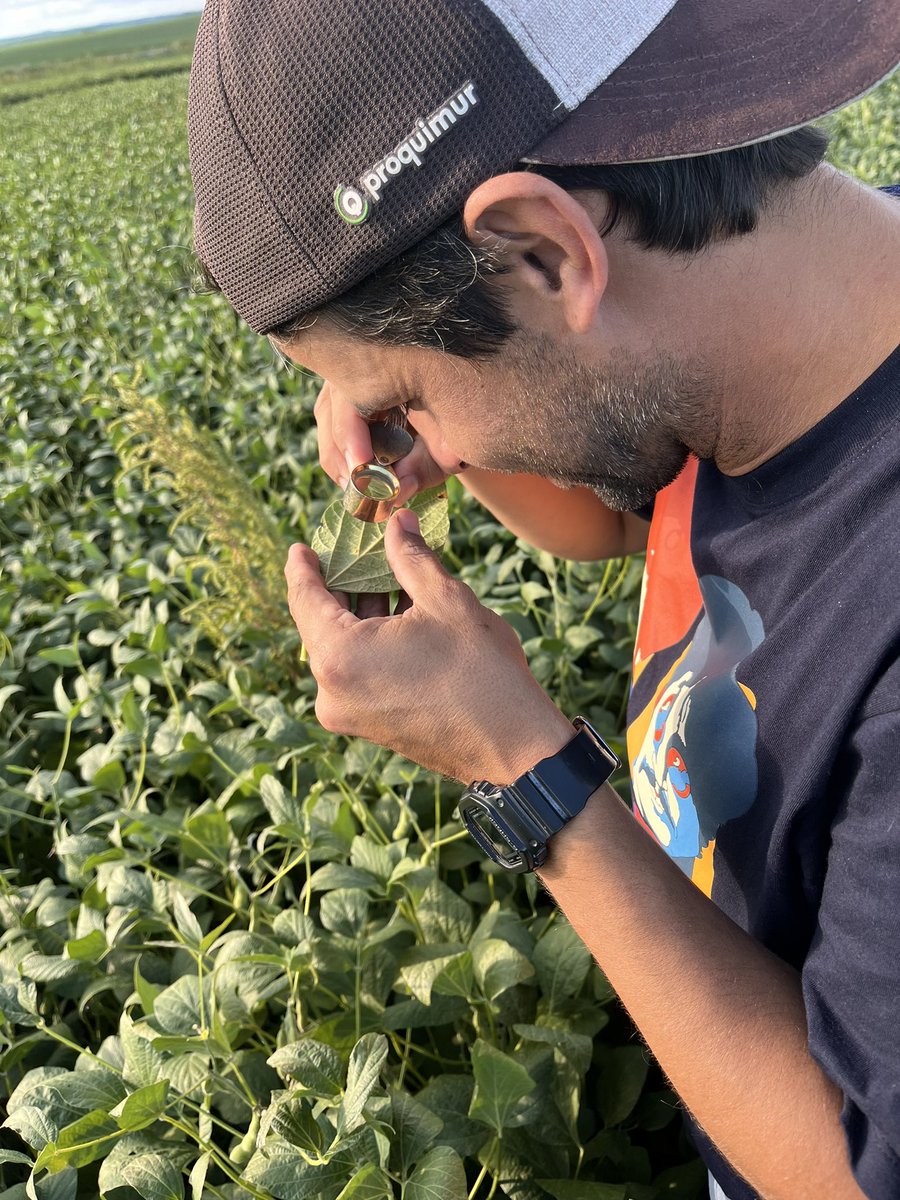 DeEstudiolab's tweet photo. El clima dió un poco de tregua y salimos atrás de la roya 🤣, creemos con @NicoVazquezJ que logramos la identificación a campo… https://t.co/z8hkAb2EVm