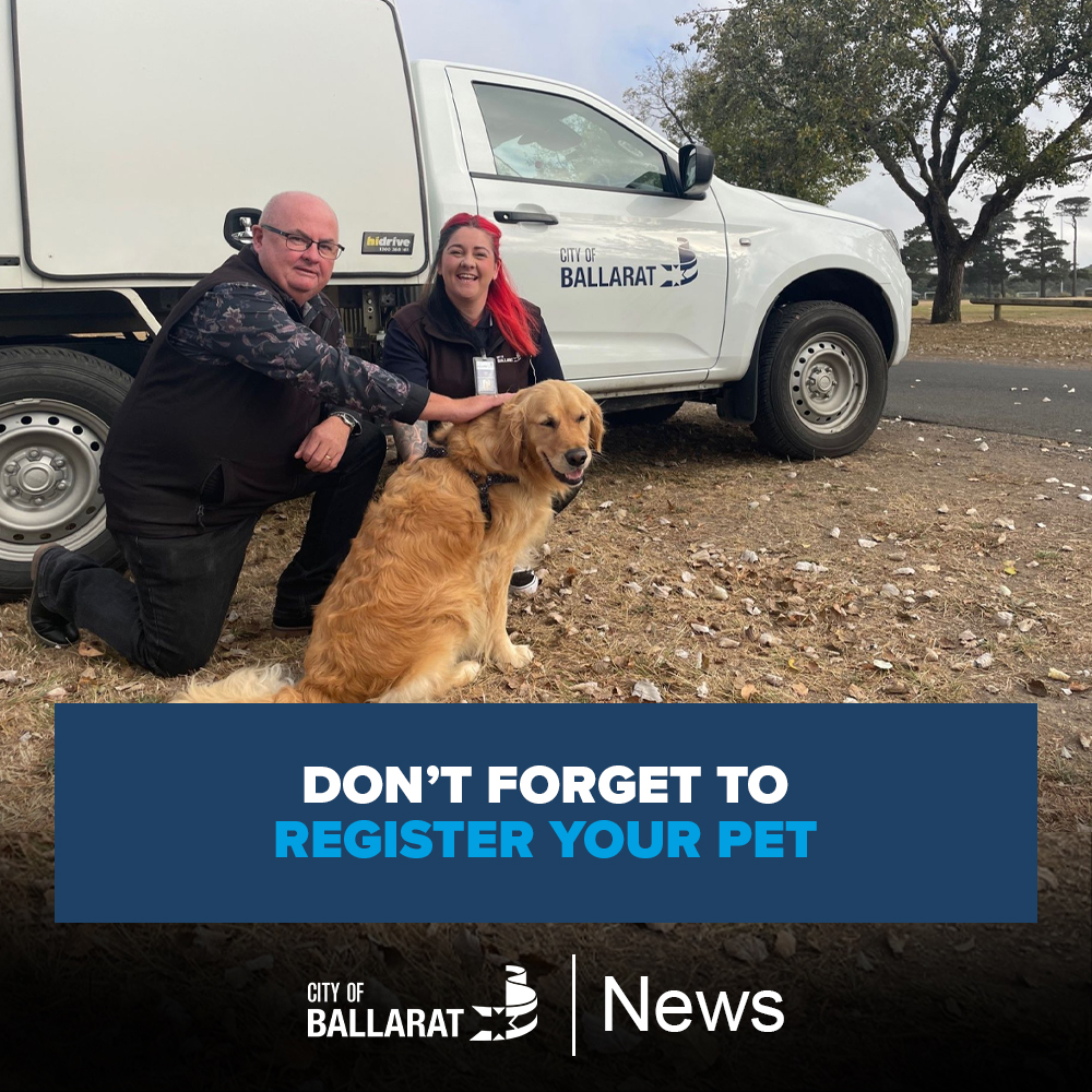 🐶 Pet registrations are due on 10 April 2024 for renewals and new pets. Owners of Ballarat’s 21,000 plus registered pets will soon receive their 2024/25 registration form in the mail or via email. MORE: bit.ly/3TCkGQK