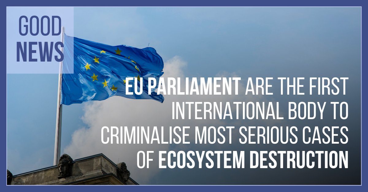 Everclime tweet media